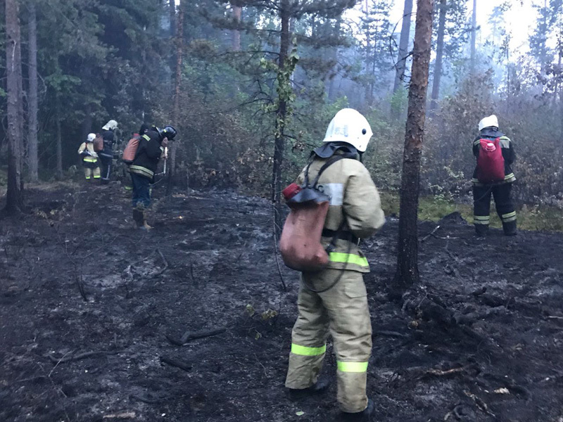 Фото: ГУ МЧС по Ленобласти